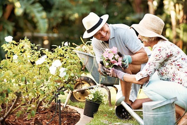 A couple gardening